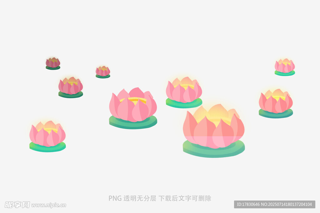 漂浮的多彩莲花插画
