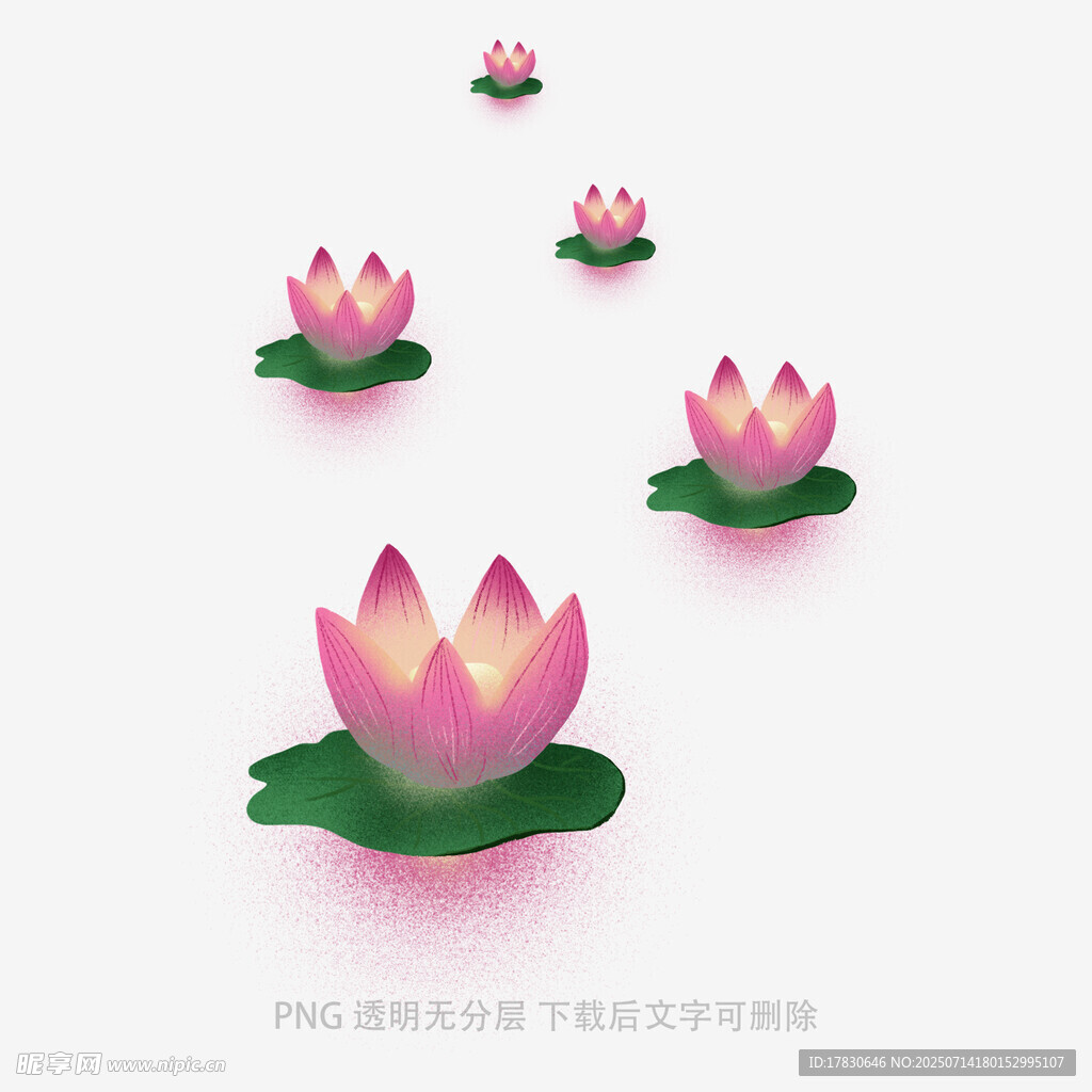 粉色莲花漂浮图