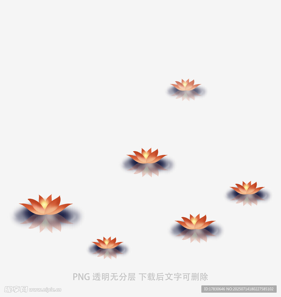 水中绽放的多彩莲花