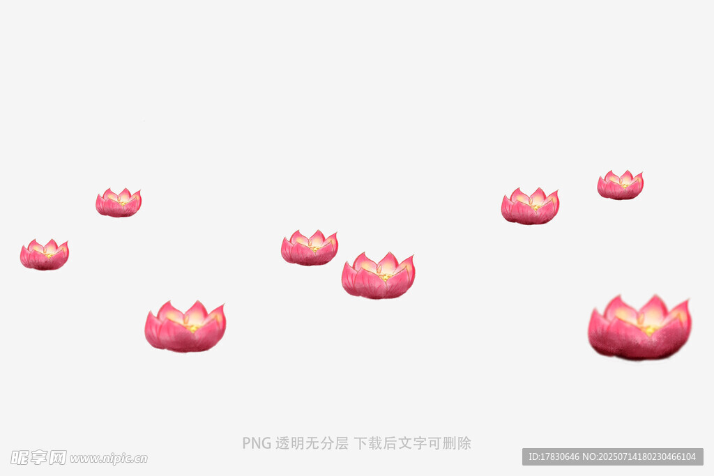 漂浮的粉色莲花
