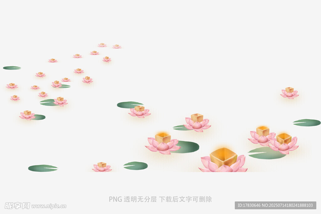 水中漂浮的多彩仿真荷花