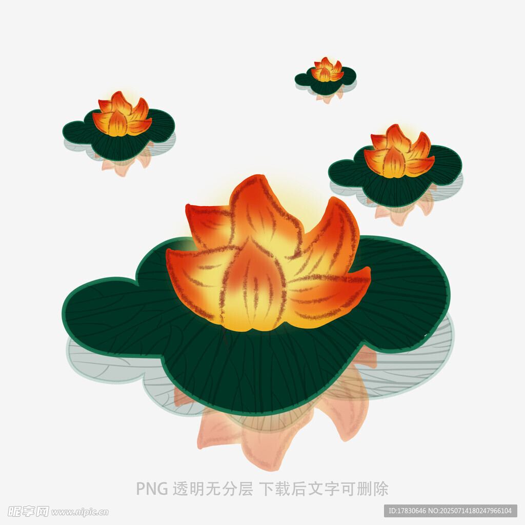 水墨风莲花荷叶插画