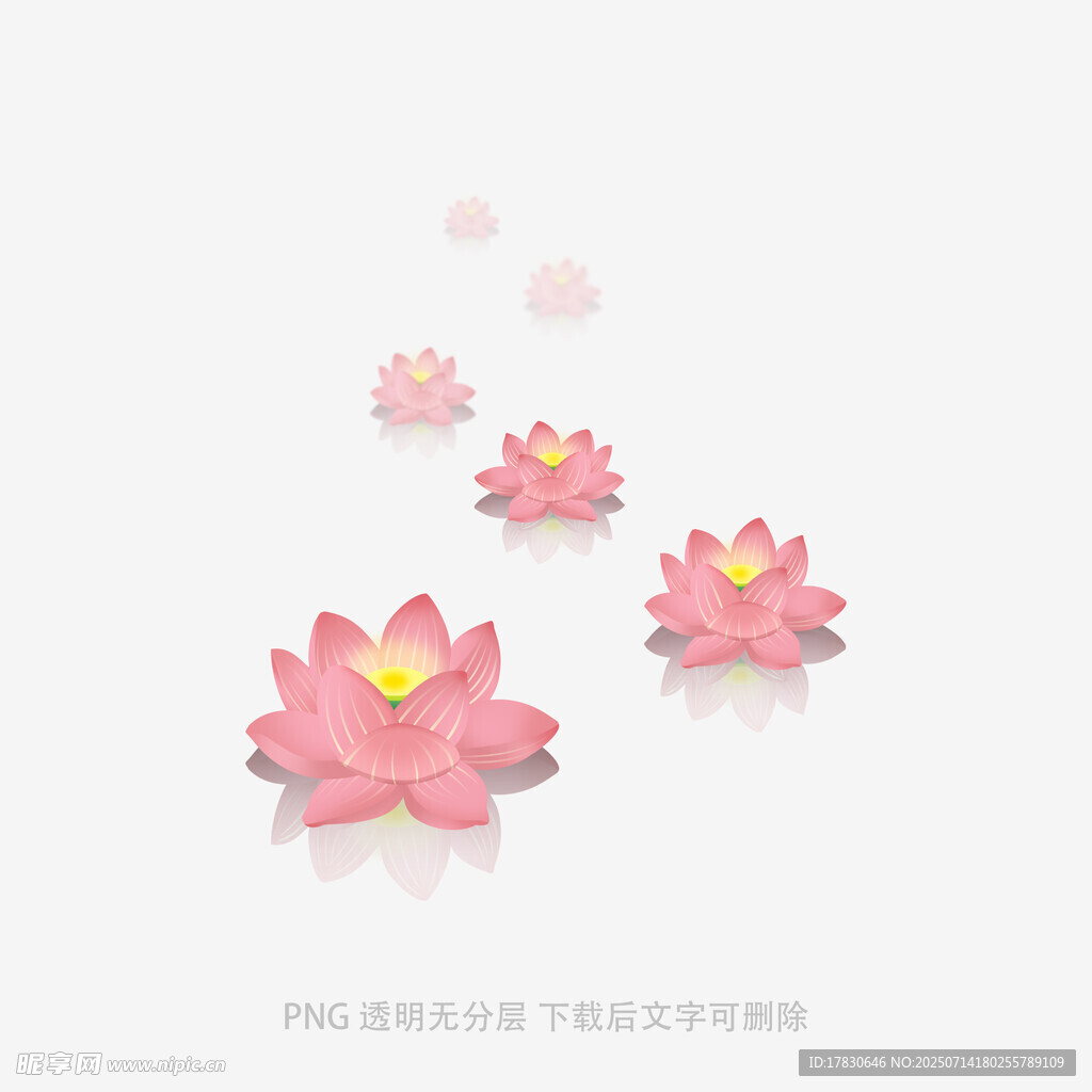 粉色莲花漂浮图