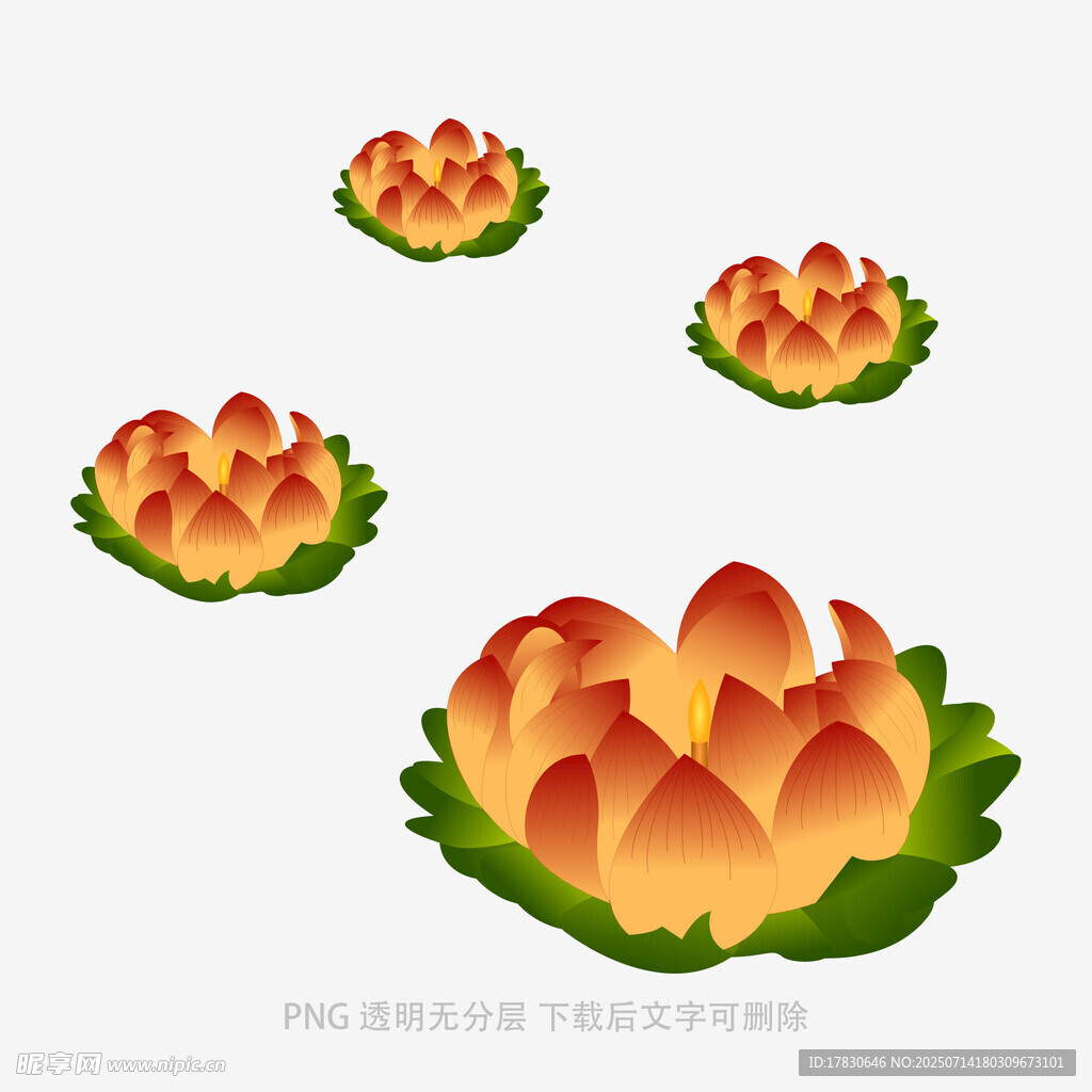 三朵绚丽莲花插画