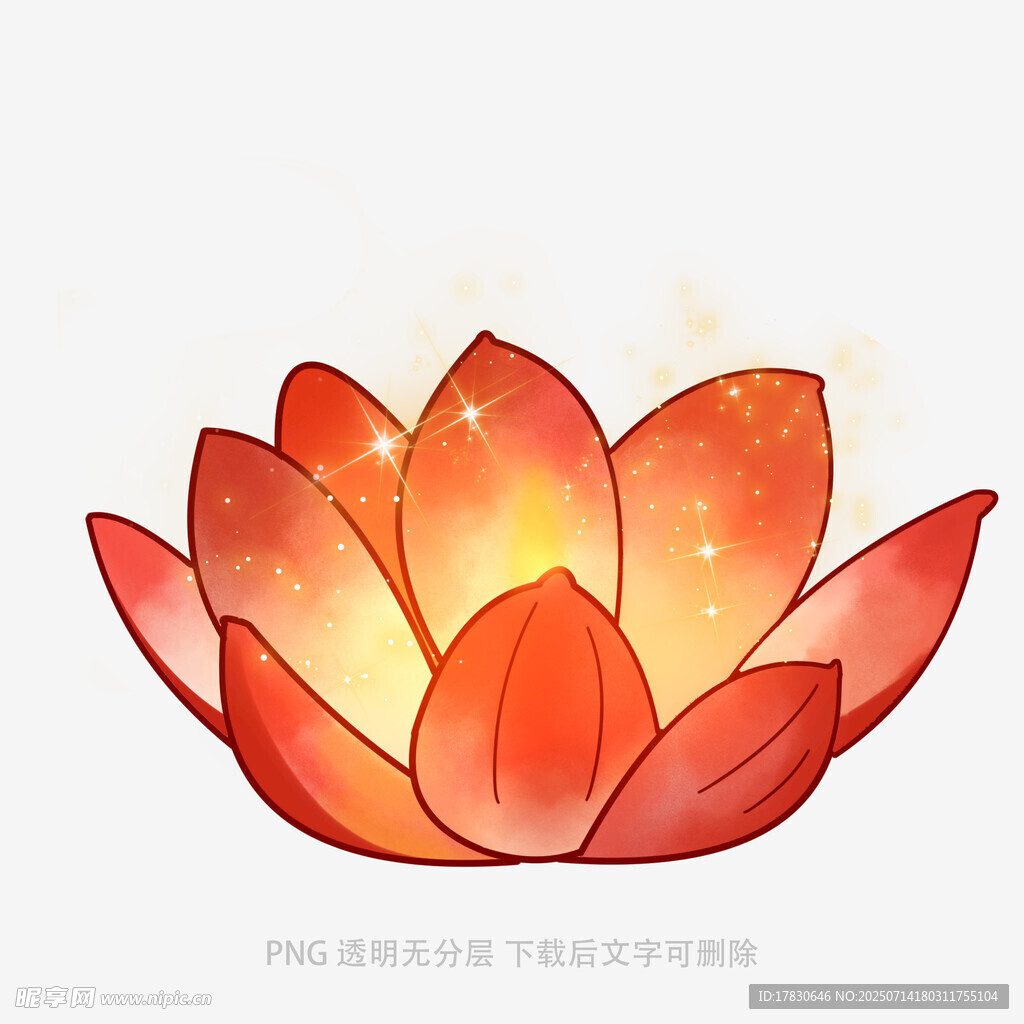 发光莲花插画