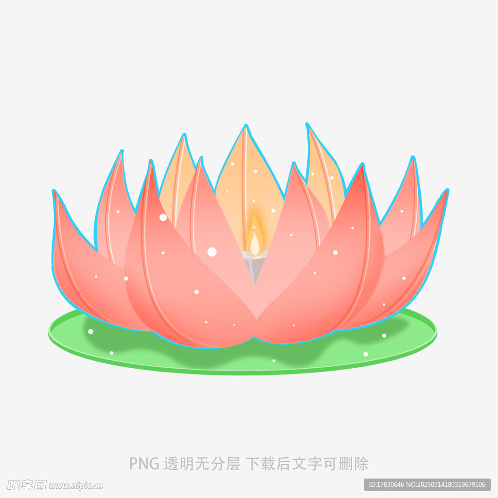 手绘粉色莲花插画