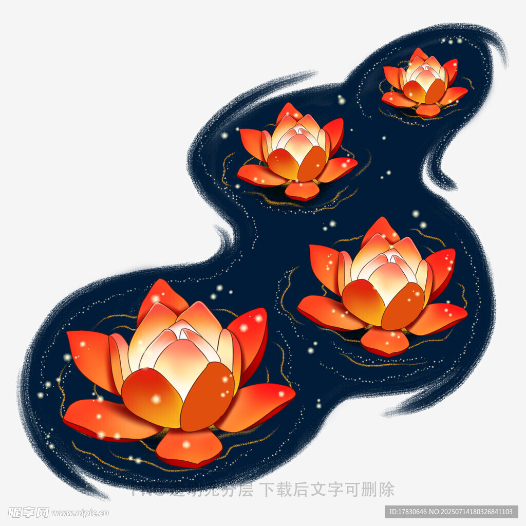 水中绽放的梦幻莲花