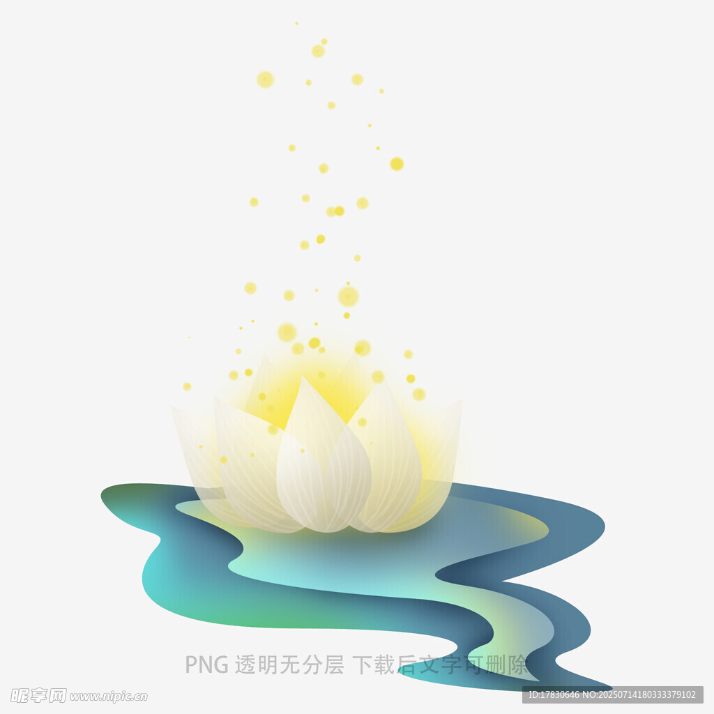 梦幻莲花绽放于波光之上