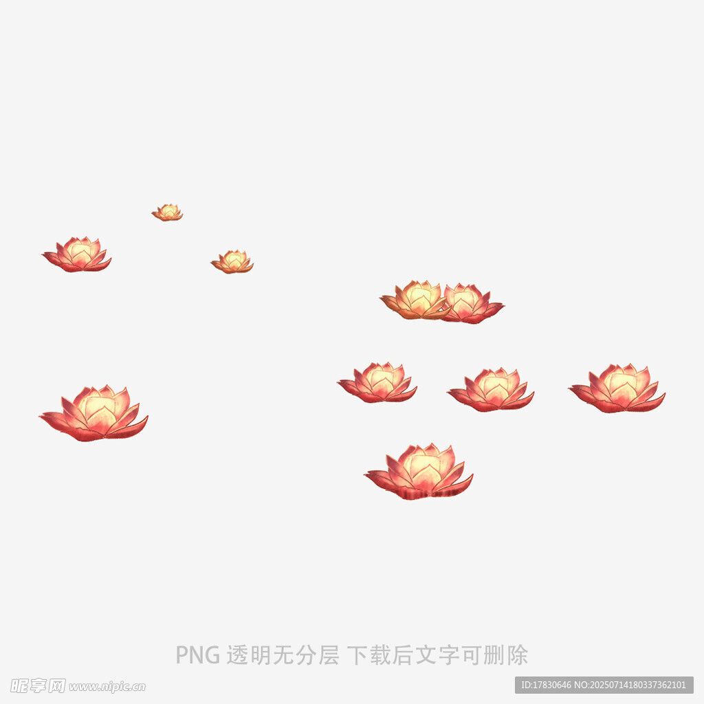 漂浮的莲花灯
