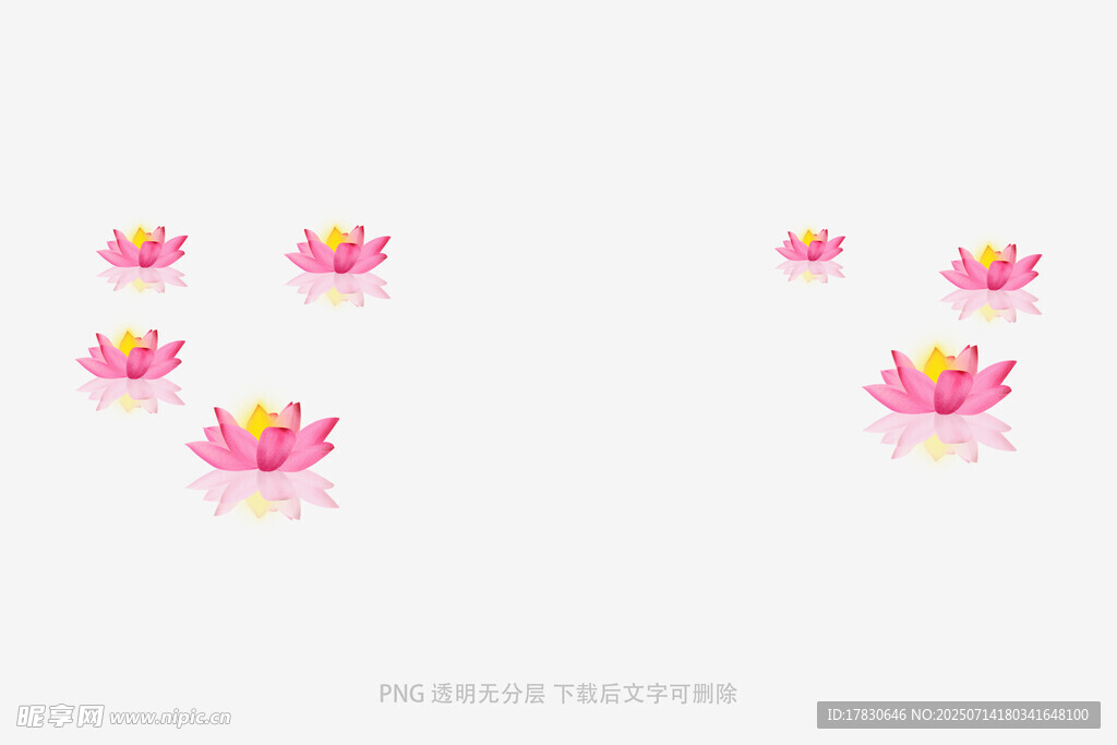 粉色莲花图案设计元素