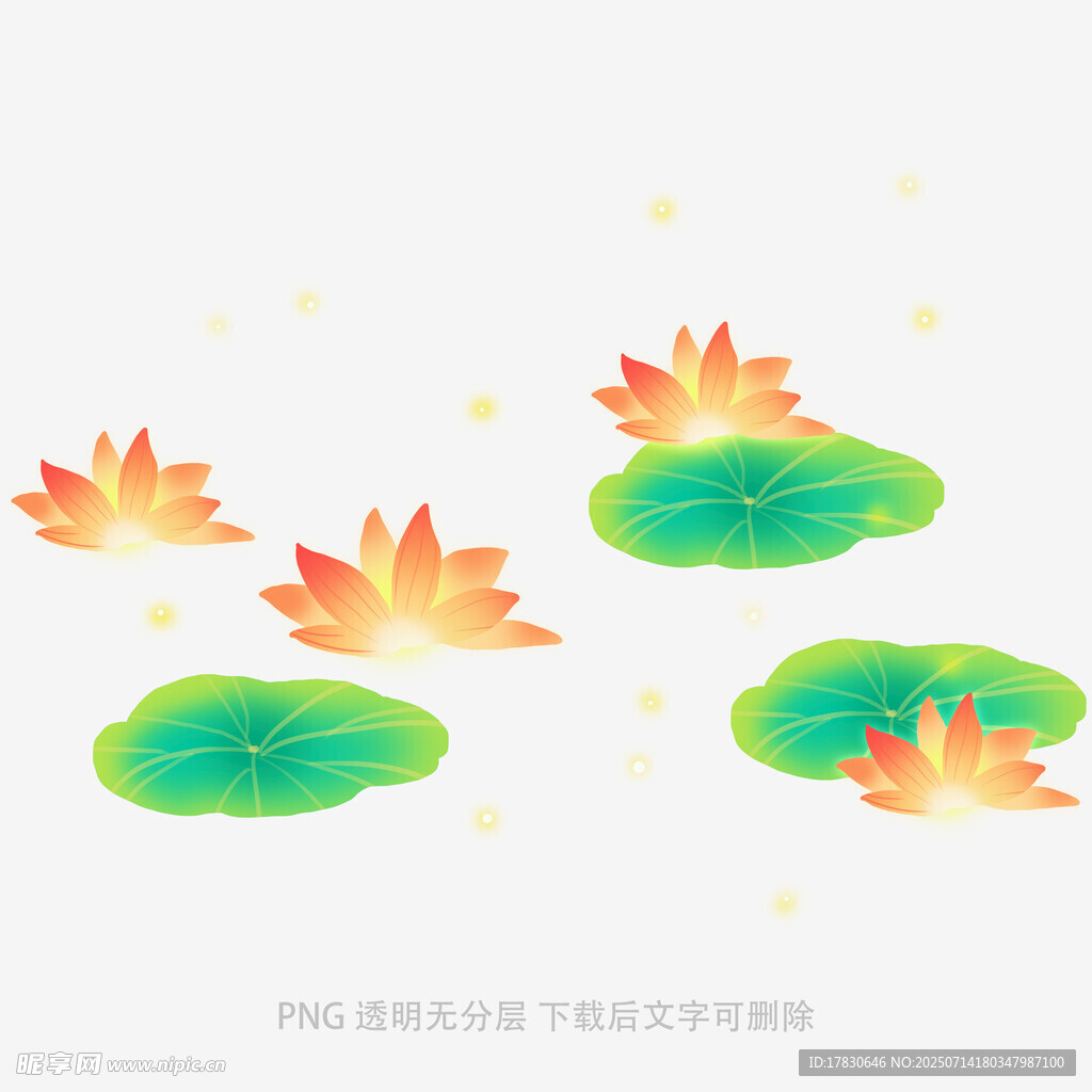 手绘荷花荷叶插画元素
