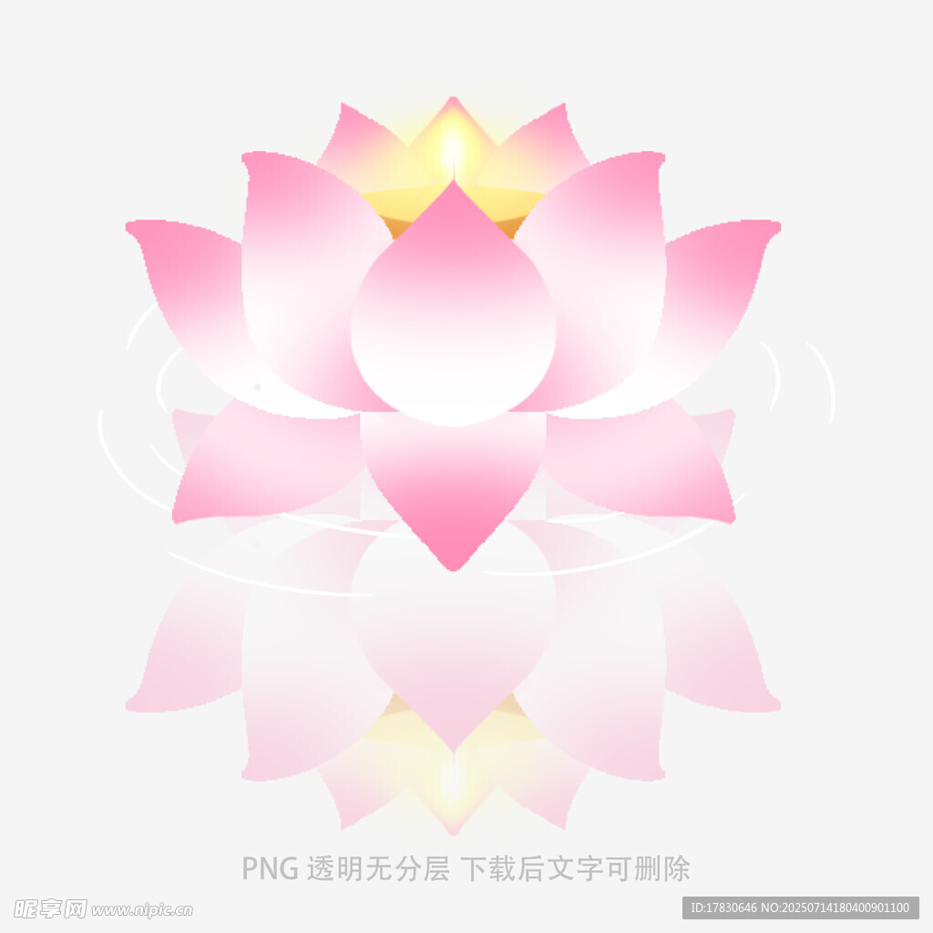 粉色莲花图案