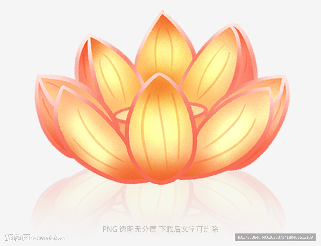 橙色莲花插画