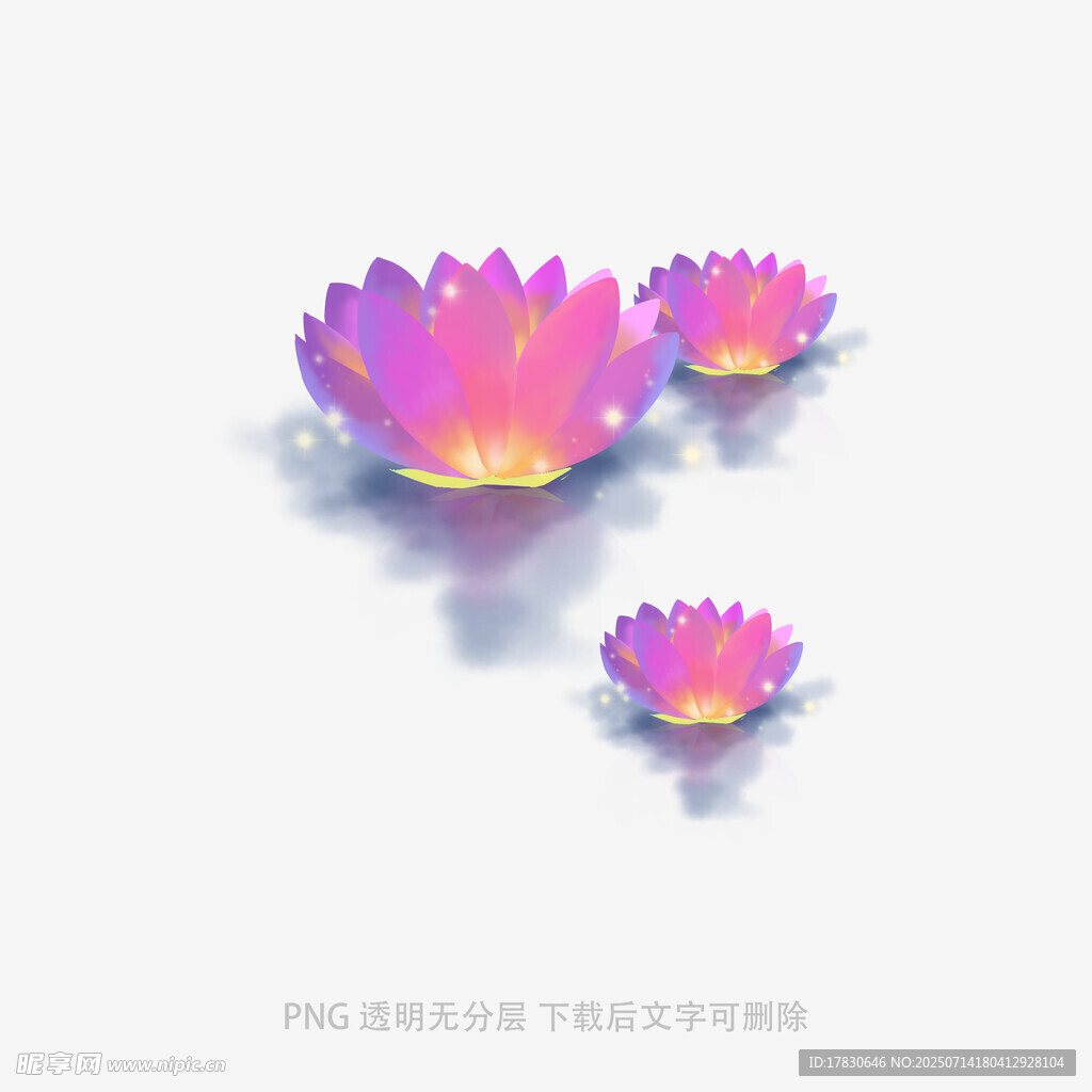 三朵梦幻紫色莲花
