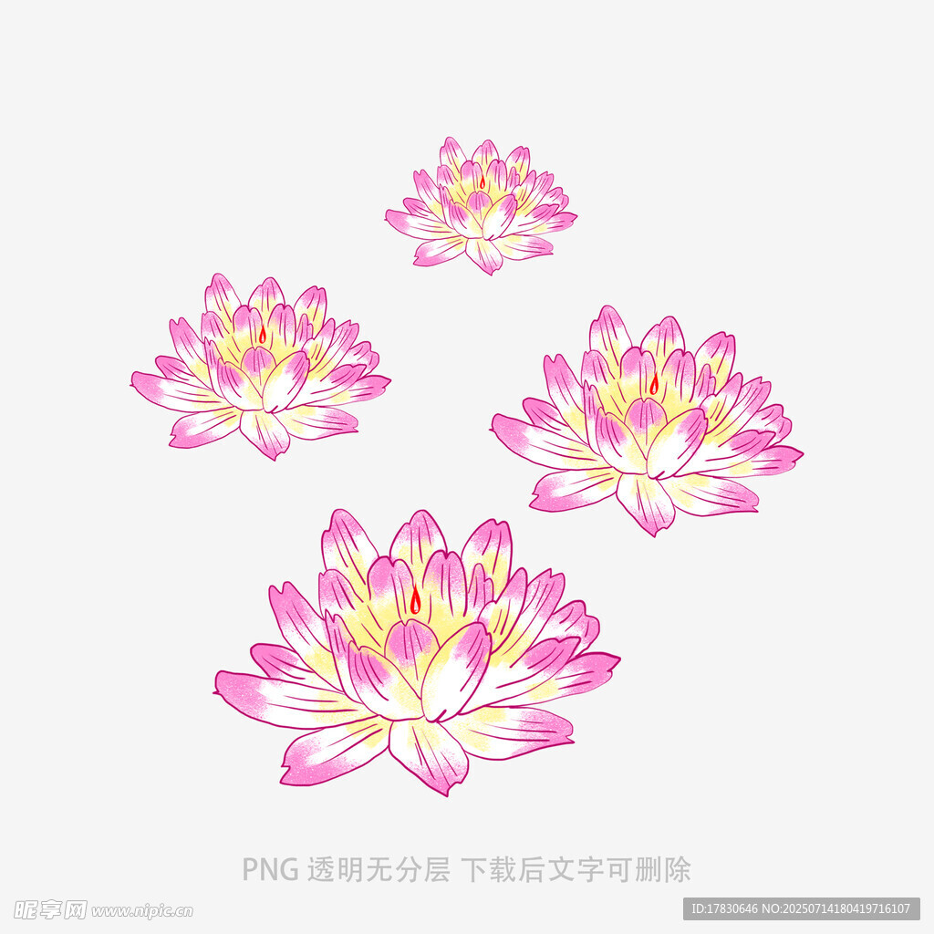 四朵粉色莲花图案设计