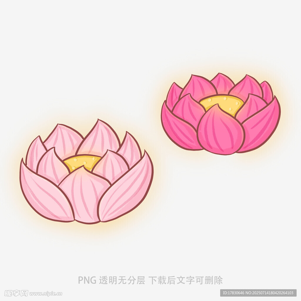 两朵可爱手绘粉色莲花