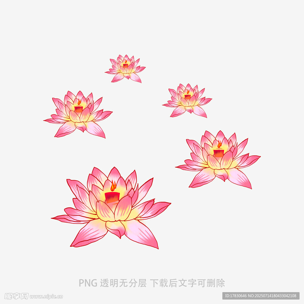 粉色莲花图案设计素材