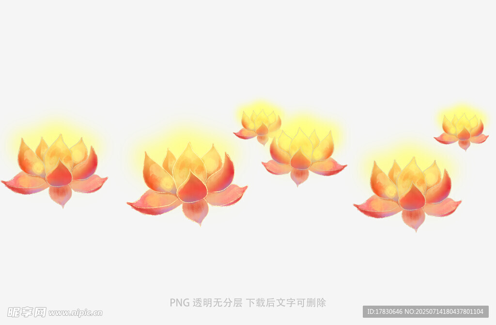 绽放的莲花图案