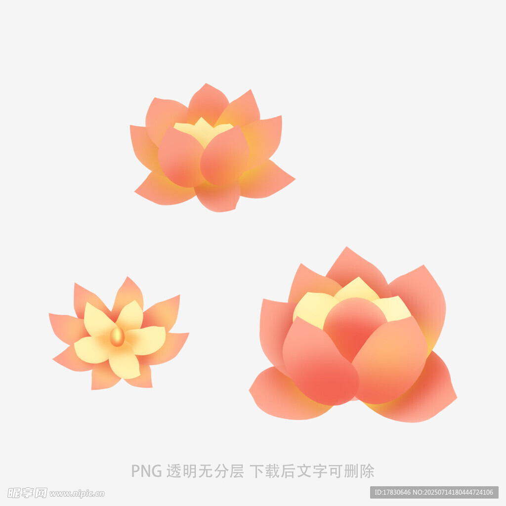 三朵精美手绘橙色莲花