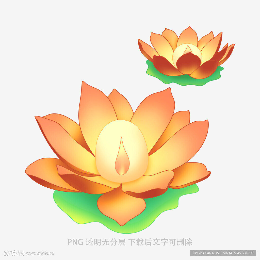 绽放的莲花图标