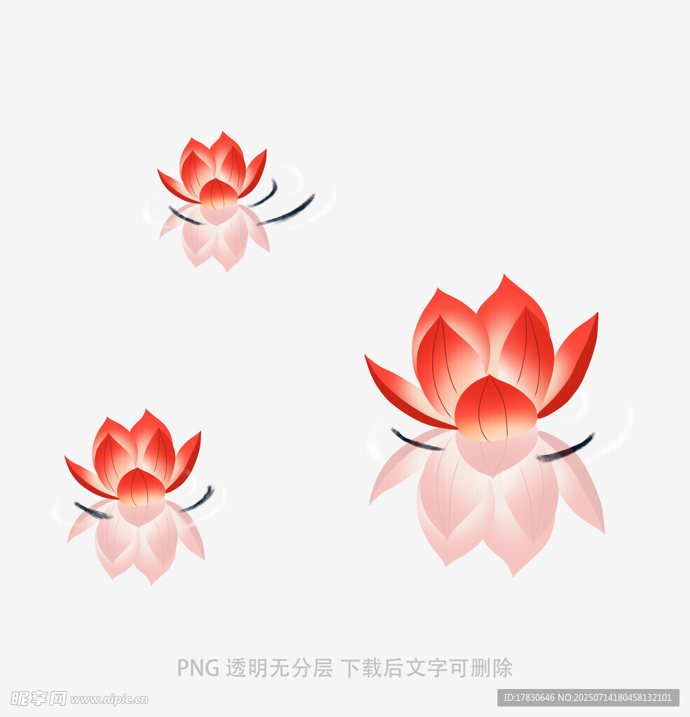 三朵绽放的红色莲花
