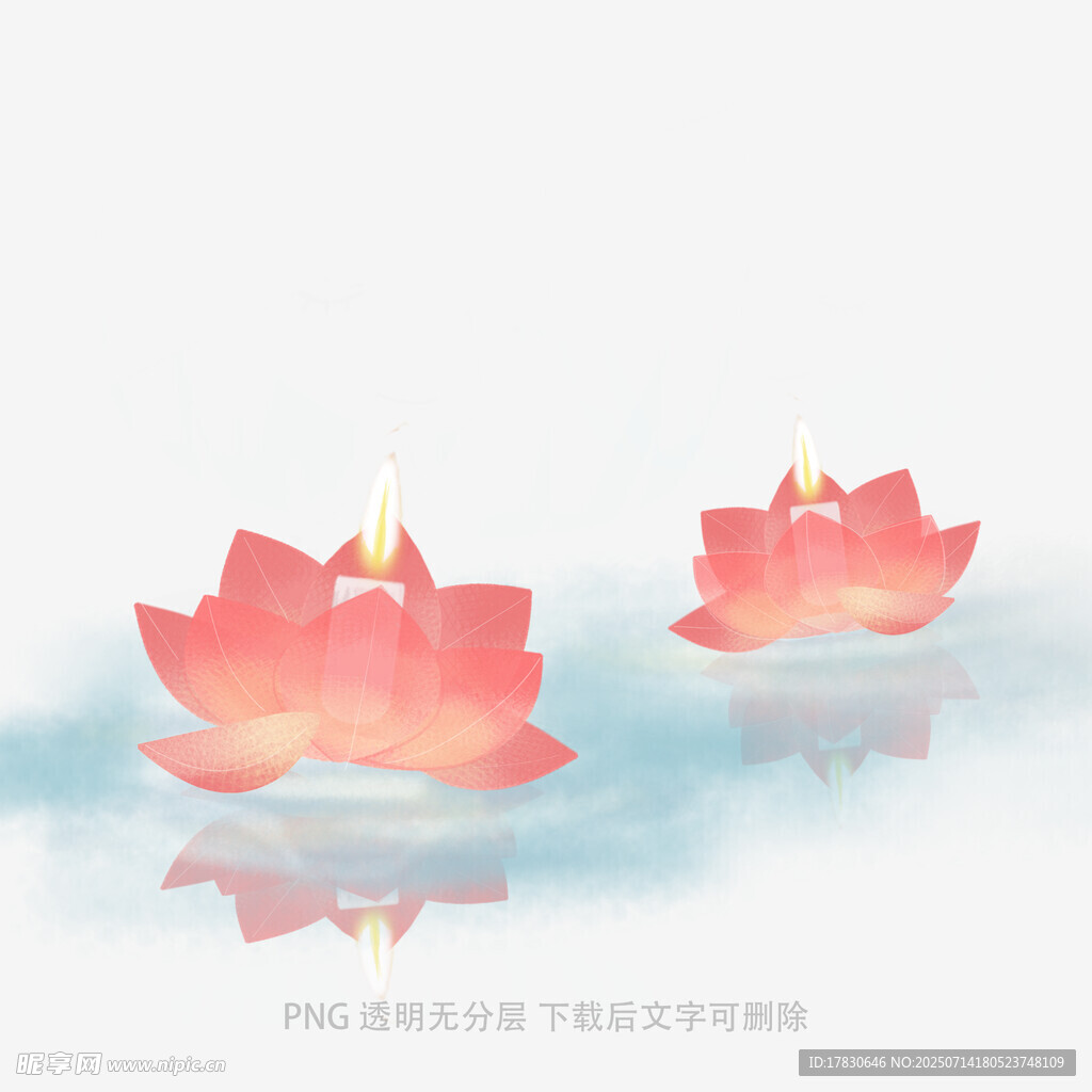 水中绽放的两朵莲花