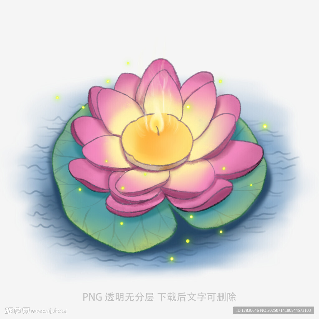 手绘粉色莲花浮于绿叶上
