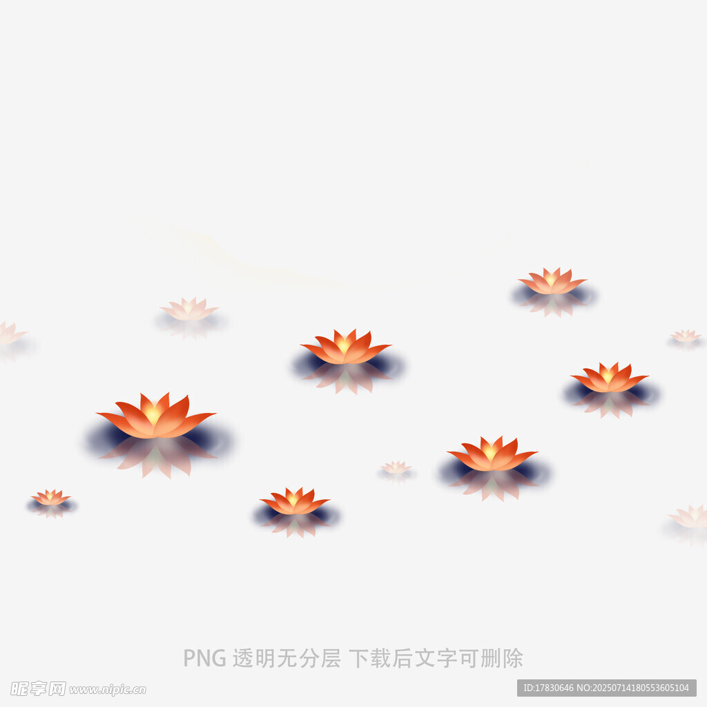 水面漂浮的橙色莲花