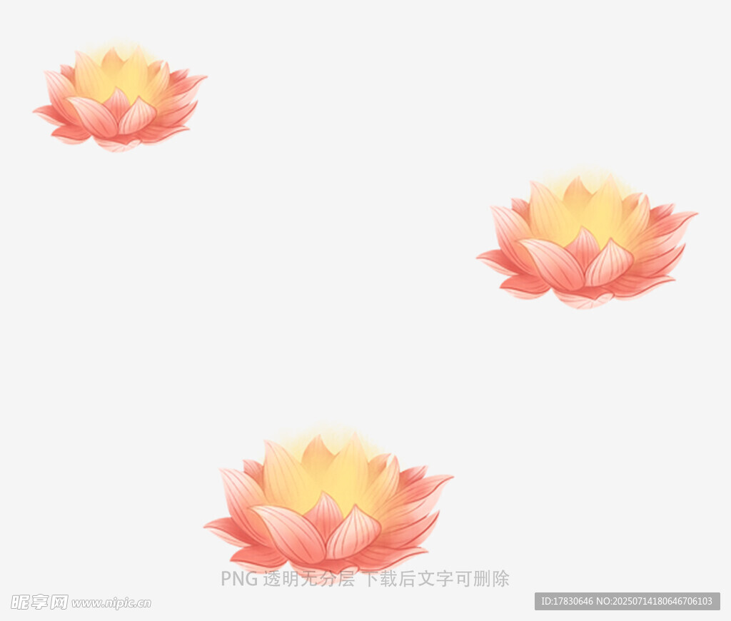 三朵绽放的精美莲花图案
