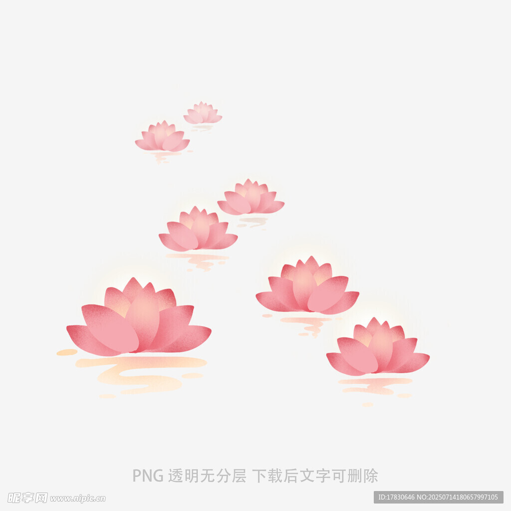 粉色莲花漂浮图