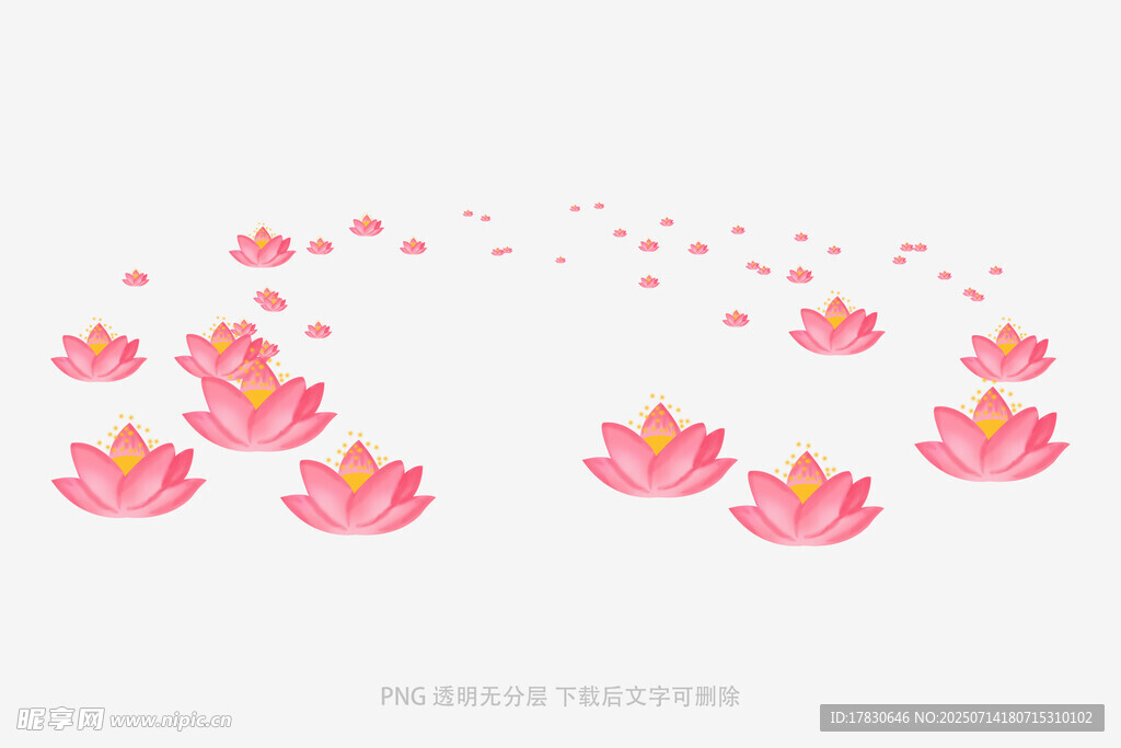 粉色莲花漂浮图案