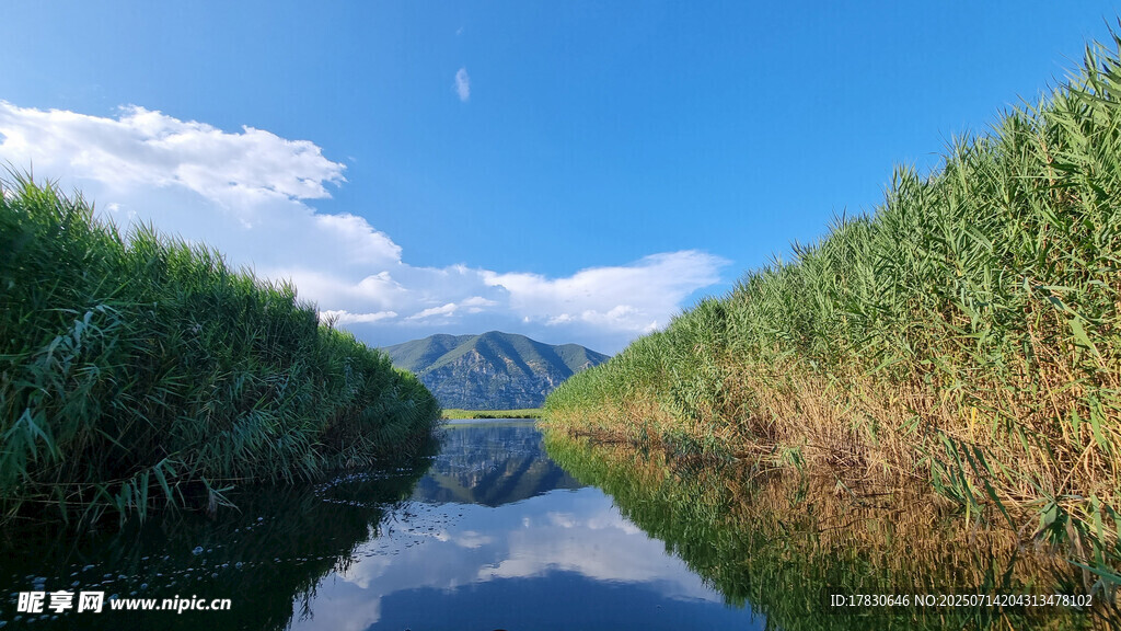 宁静河道旁的葱郁风光