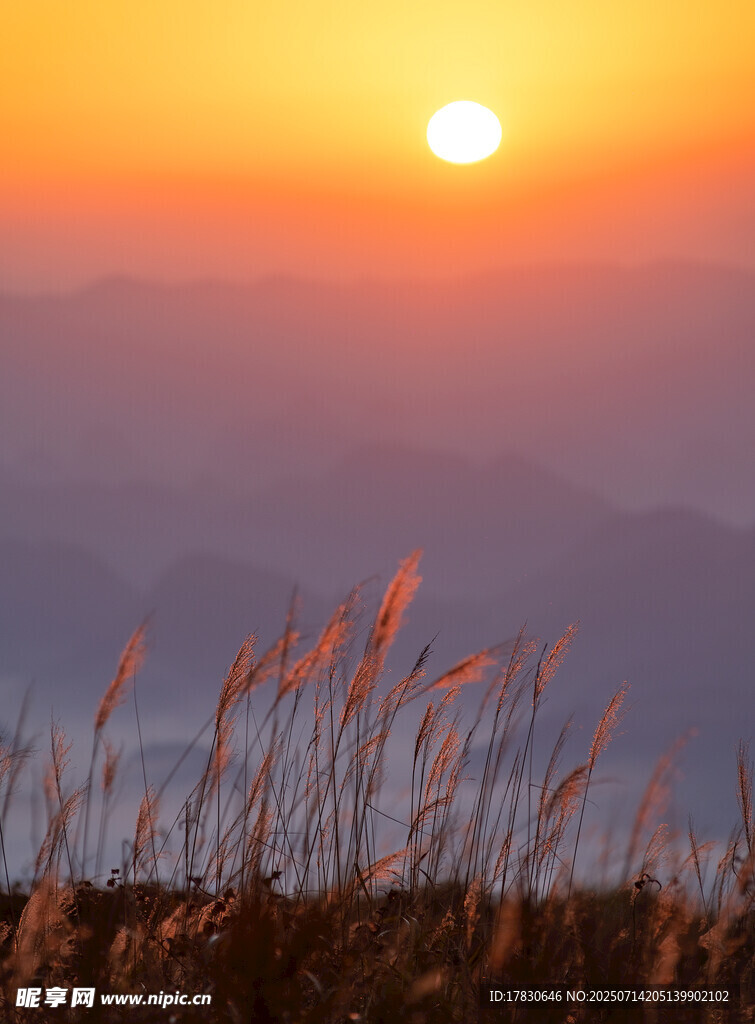 日出时分的山间草景