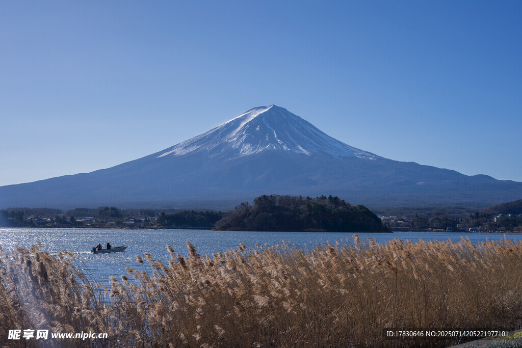 富士山下湖畔美景