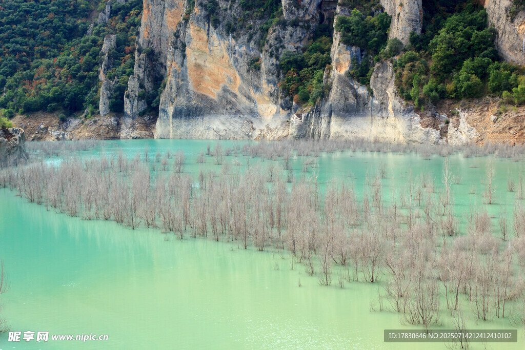 碧绿湖水与岸边奇特景观