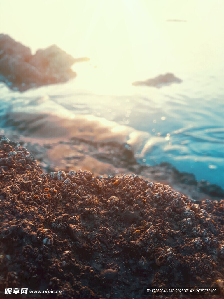 海边黄昏下的碎石与海浪