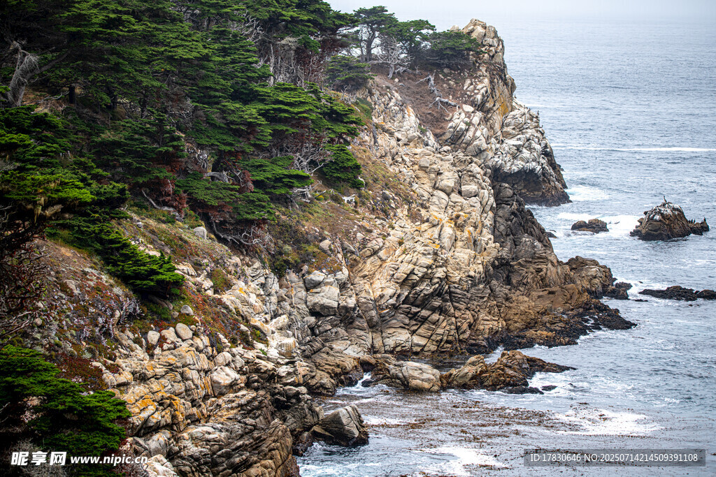 海岸边嶙峋岩石与绿植