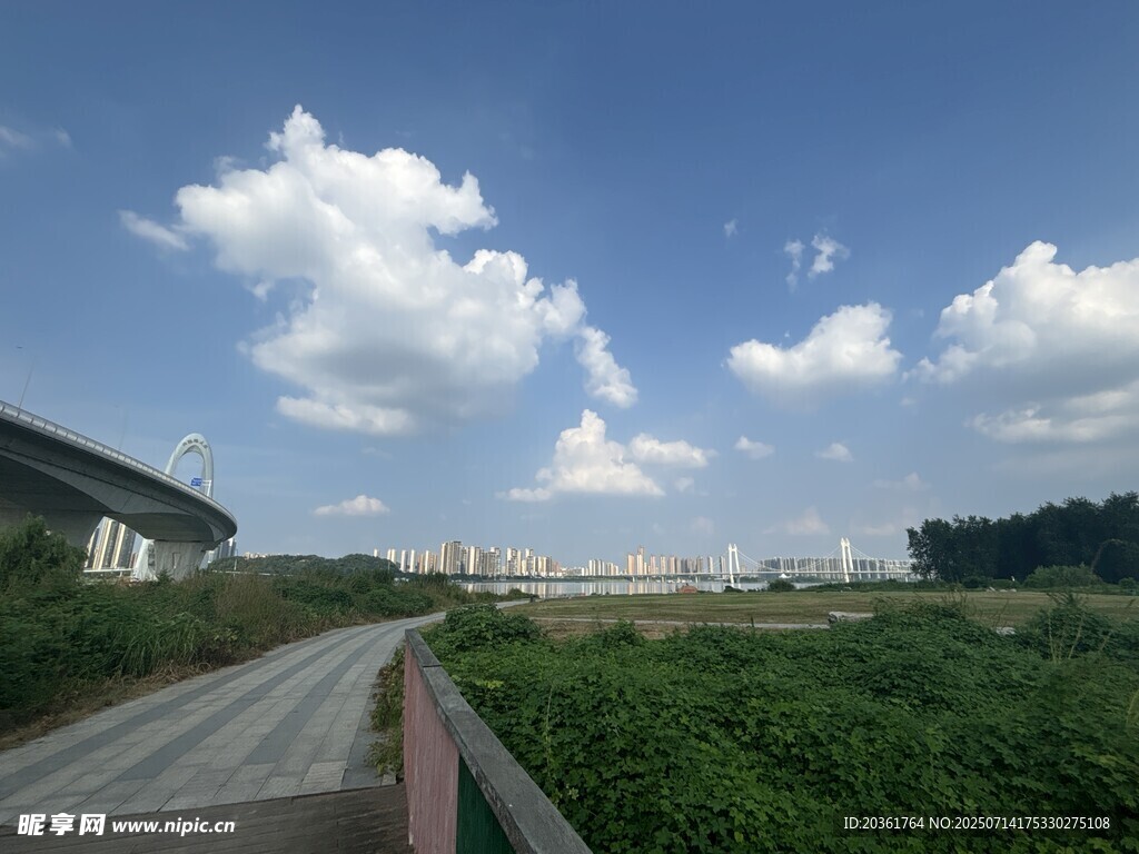 郊外公路旁的蓝天绿地