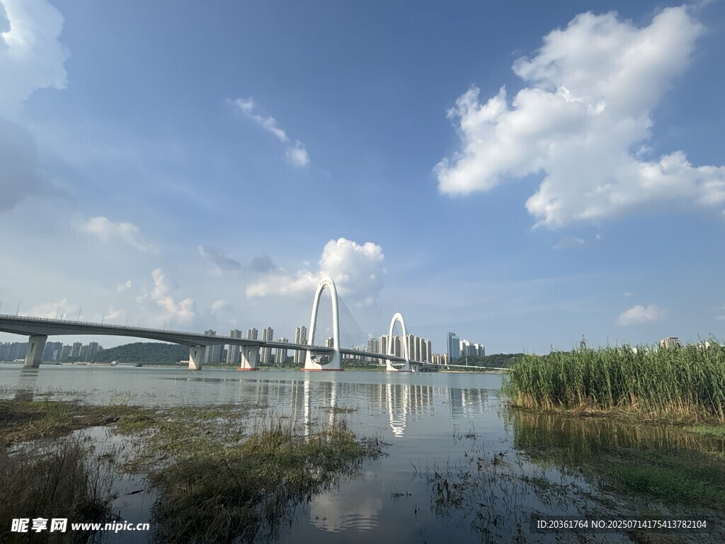 河畔桥梁风景