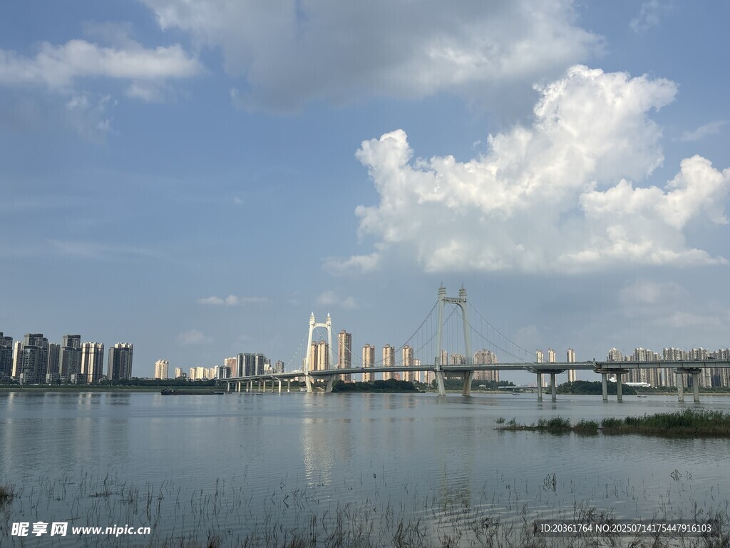 城市湖畔桥梁风景图