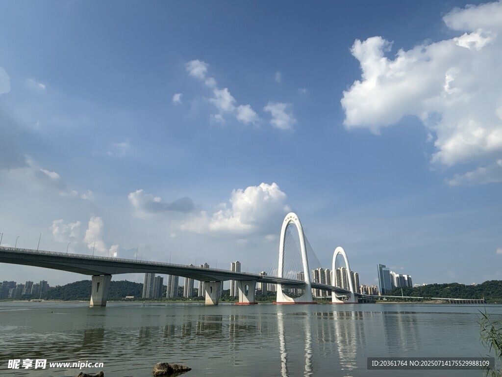 城市跨江大桥风景