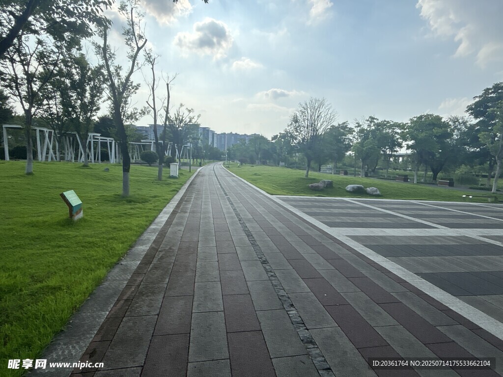 宽阔林荫道路