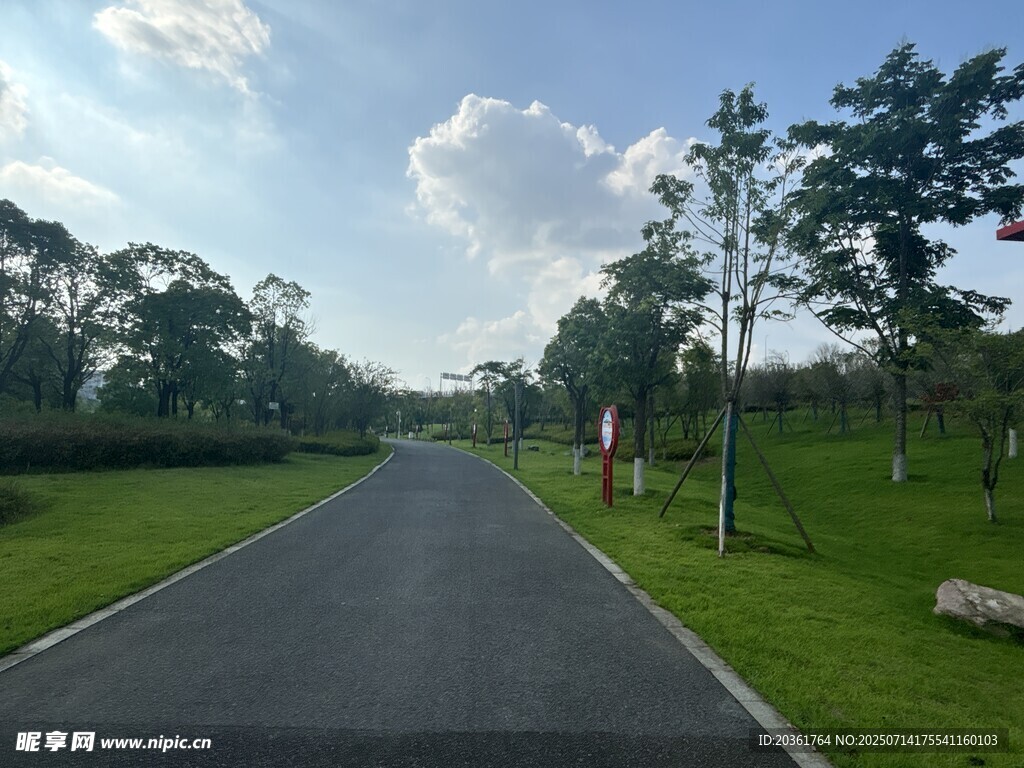 宽阔林荫路