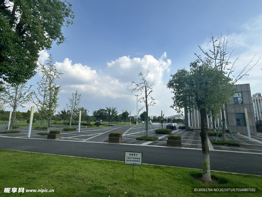 城市户外开阔绿地景观