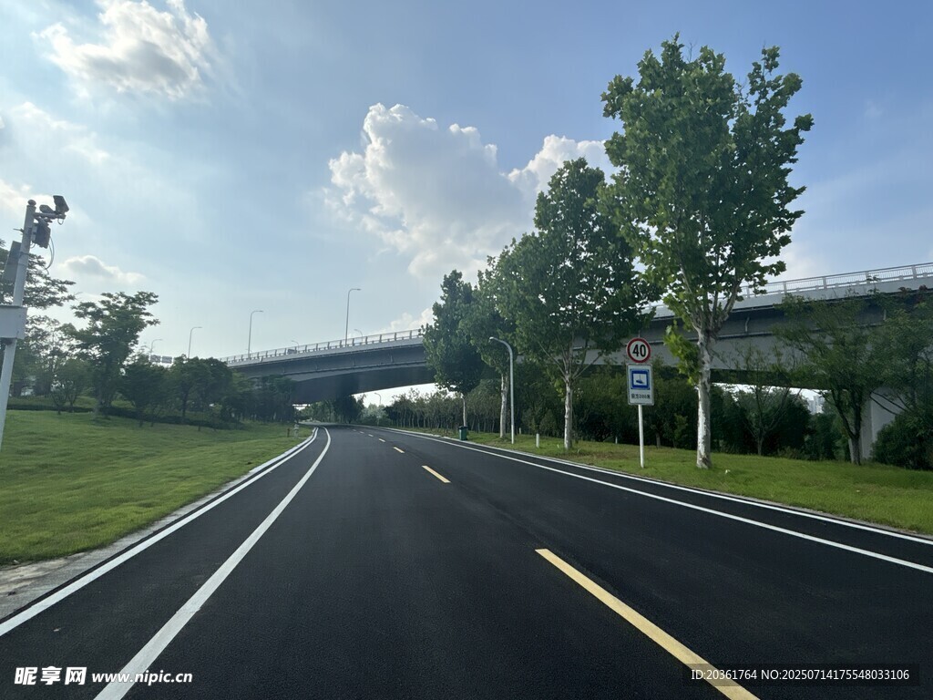 宽阔公路旁绿树与高架桥
