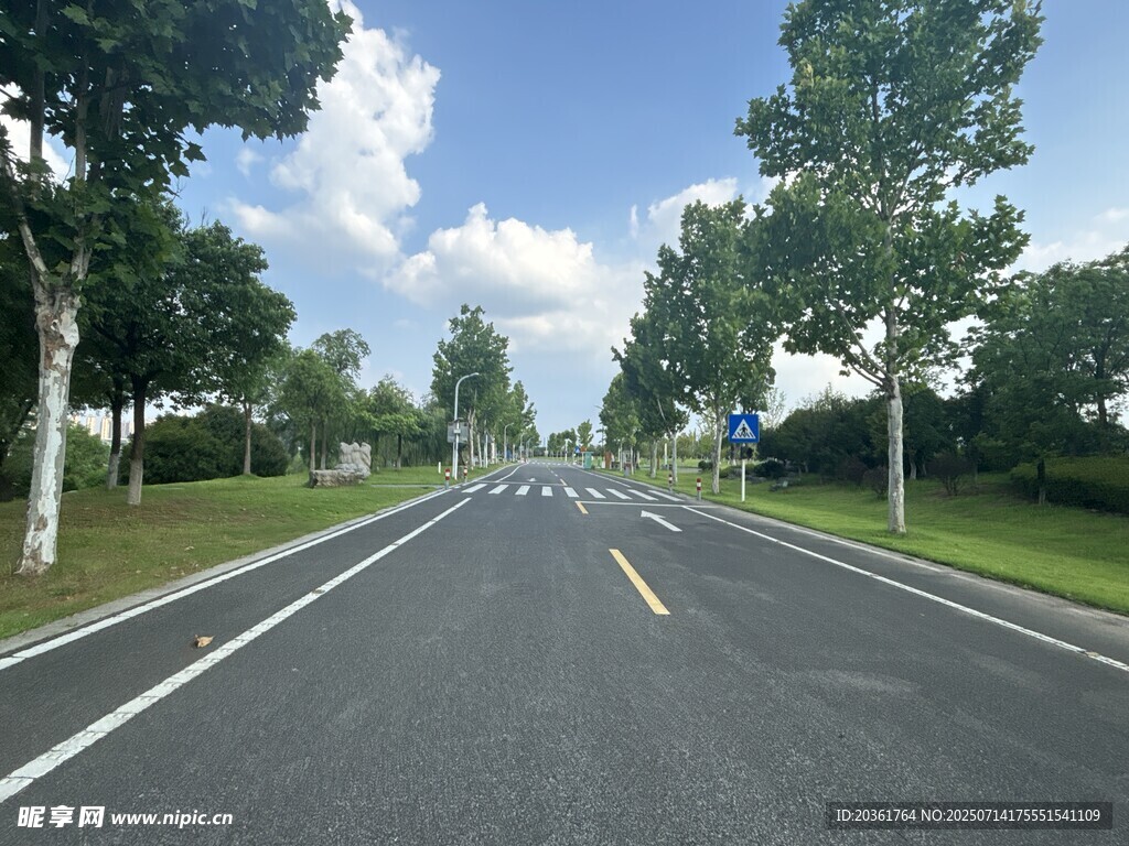 宽阔林荫公路风景