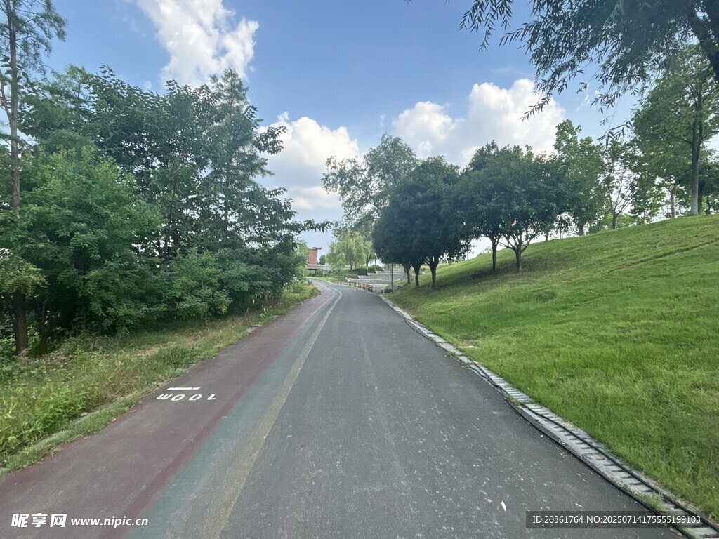 彩色步道旁的绿意风景
