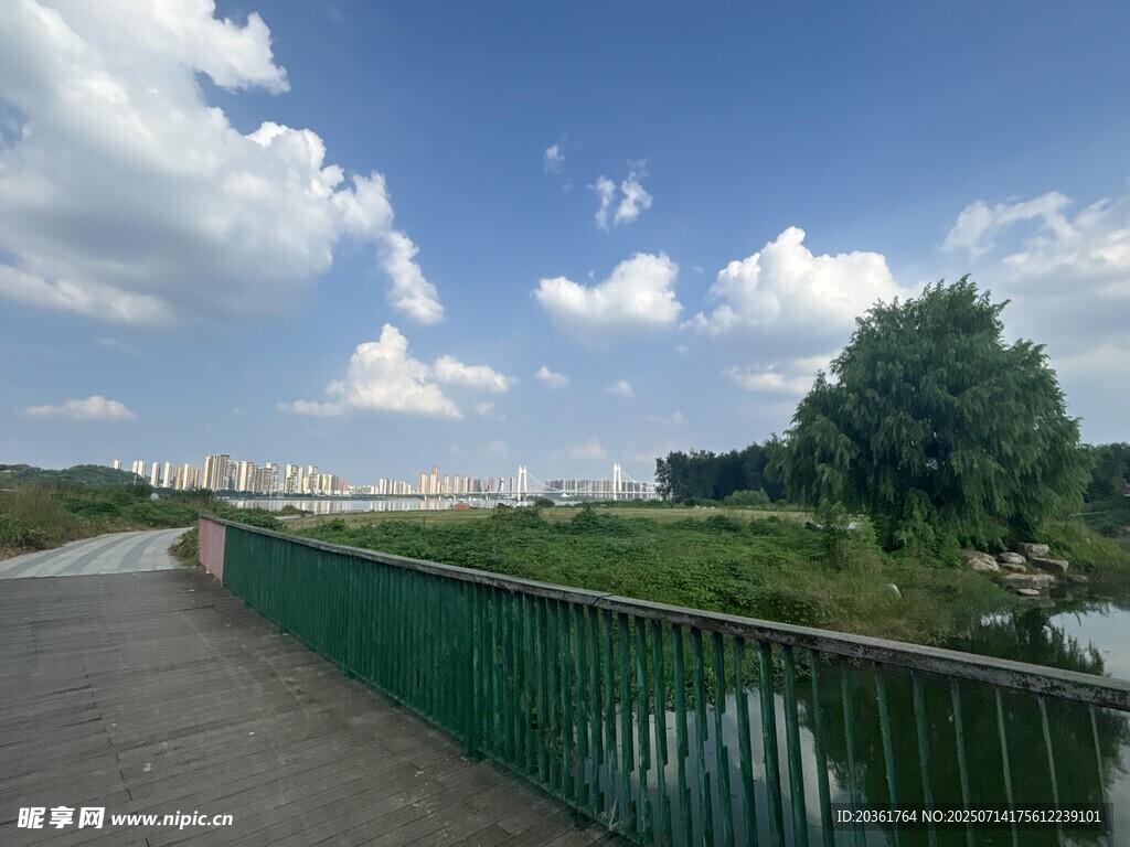 河畔绿道风光