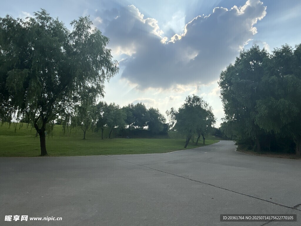 郊外开阔道路与绿树风景