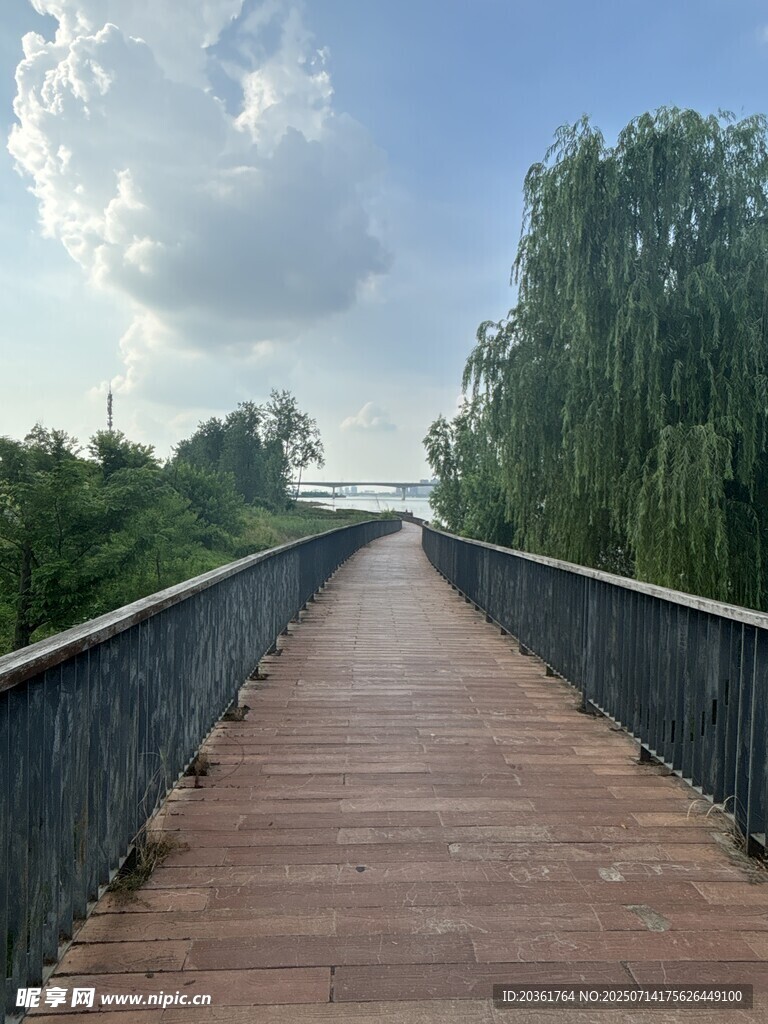 漫步河畔木桥